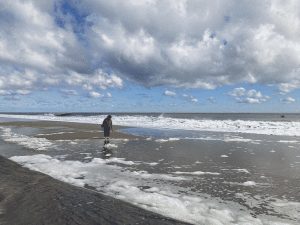 A dithered Ruby small in the frame of a wide beach shot with some clouds above and seafoam covering the beach