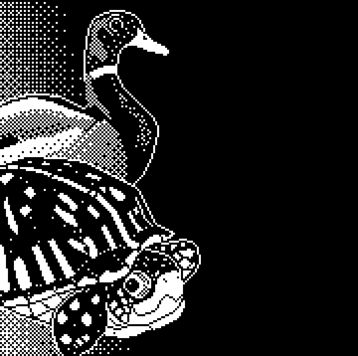 Duck & Turtle Phone Background